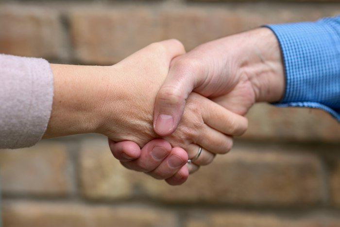 Two partners shaking hands on a new institutional partnership
