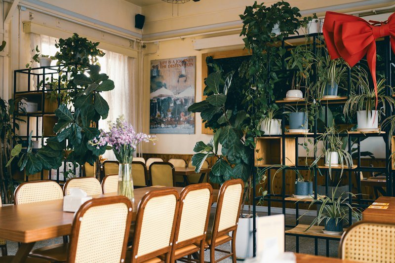 A bright community dining room filled with plants and wooden chairs
